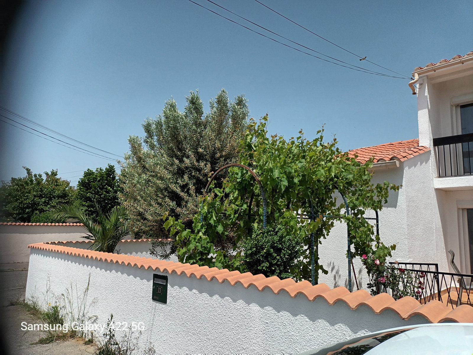 Colocación Canet 480704