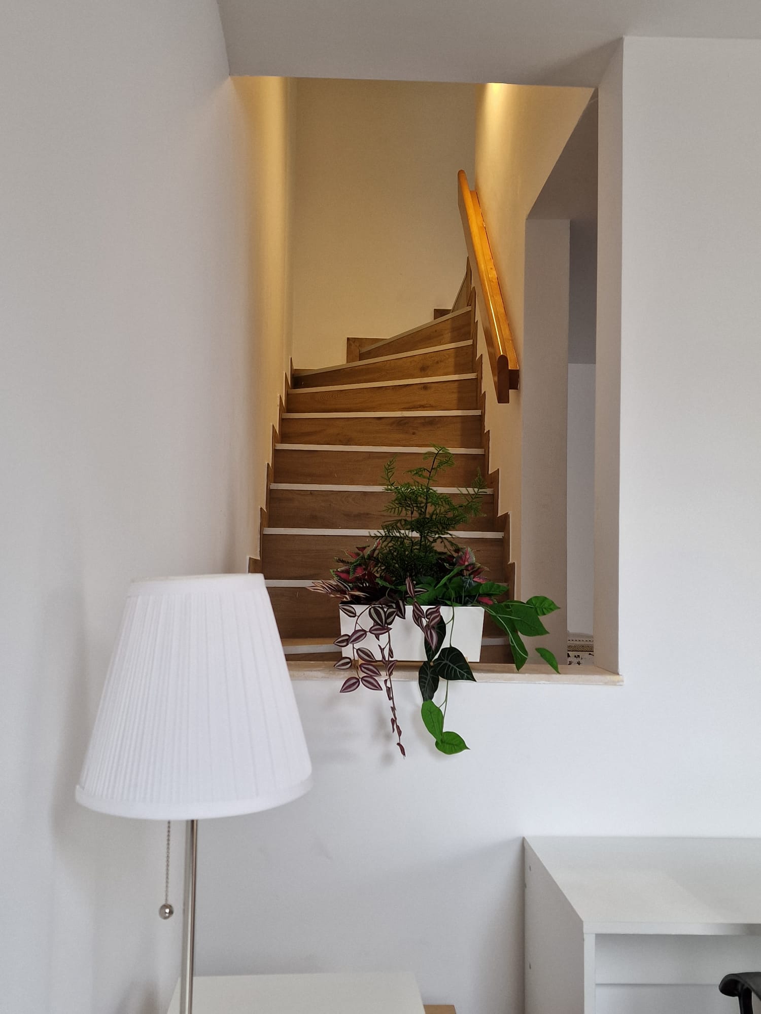 Colocación Arlon 582614