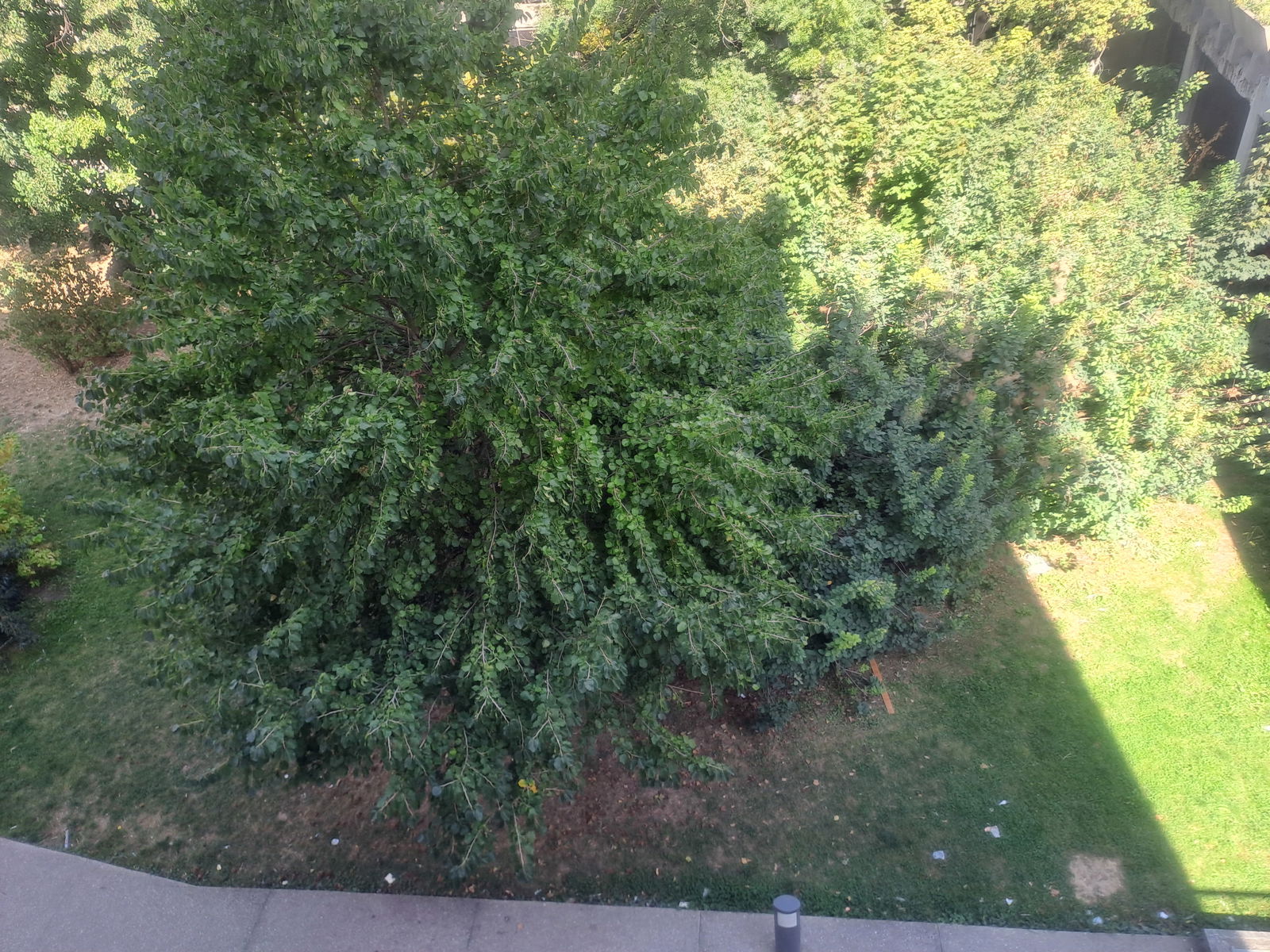 Colocación Bobigny 316582