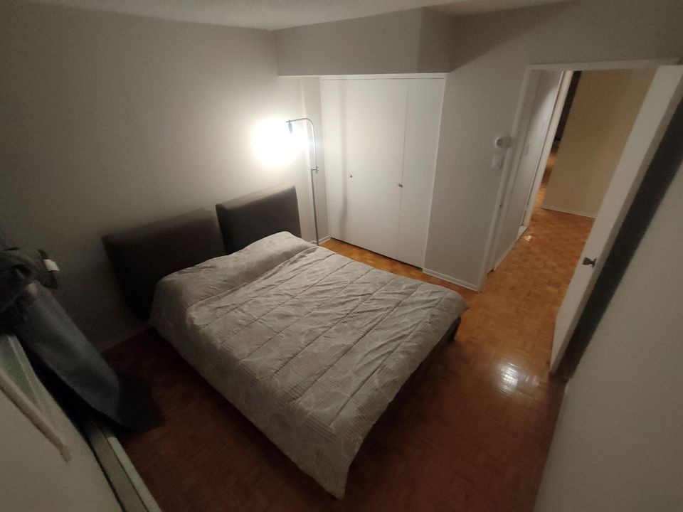 Colocación Montréal 263166