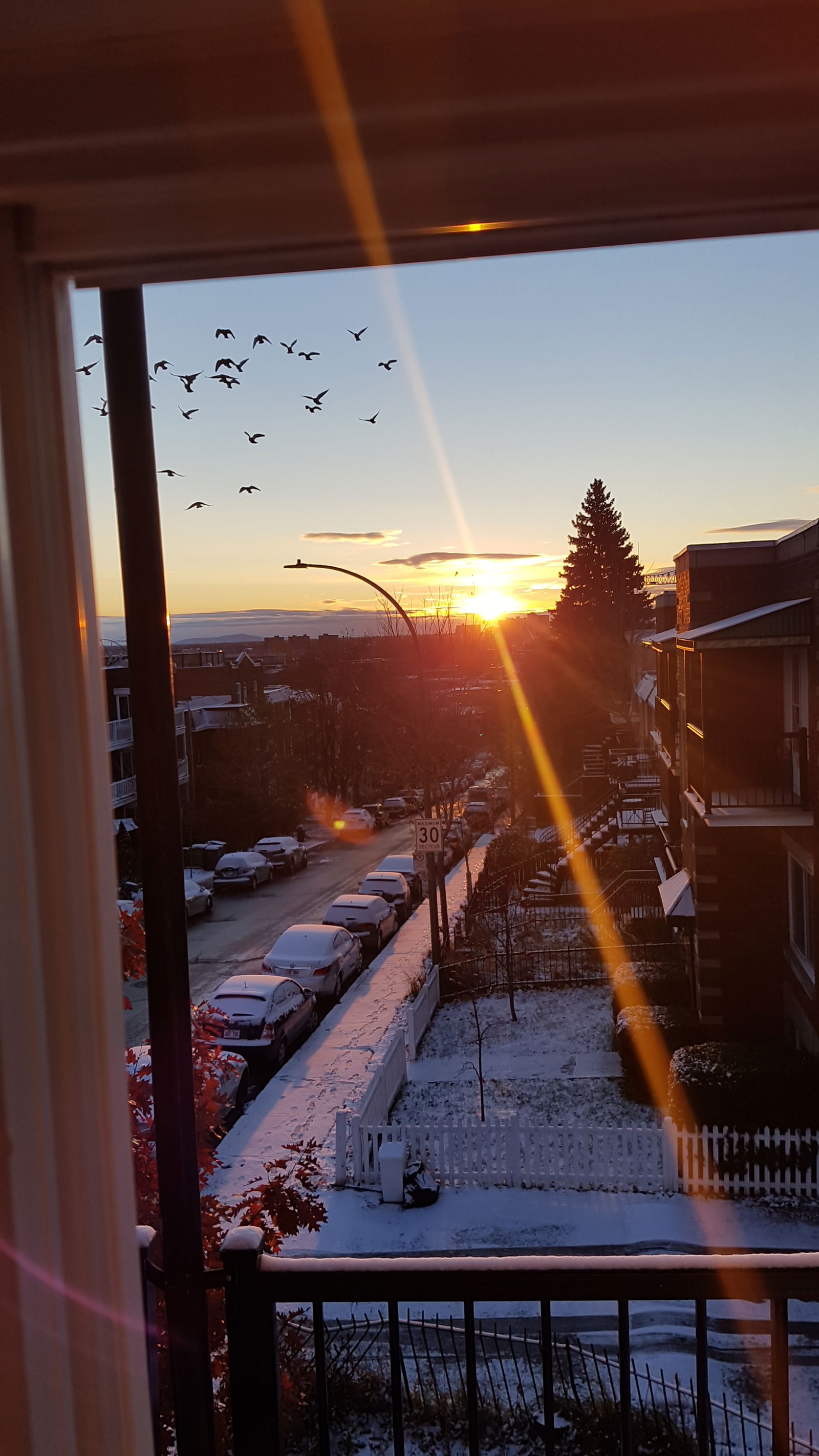Colocación Montréal 245997
