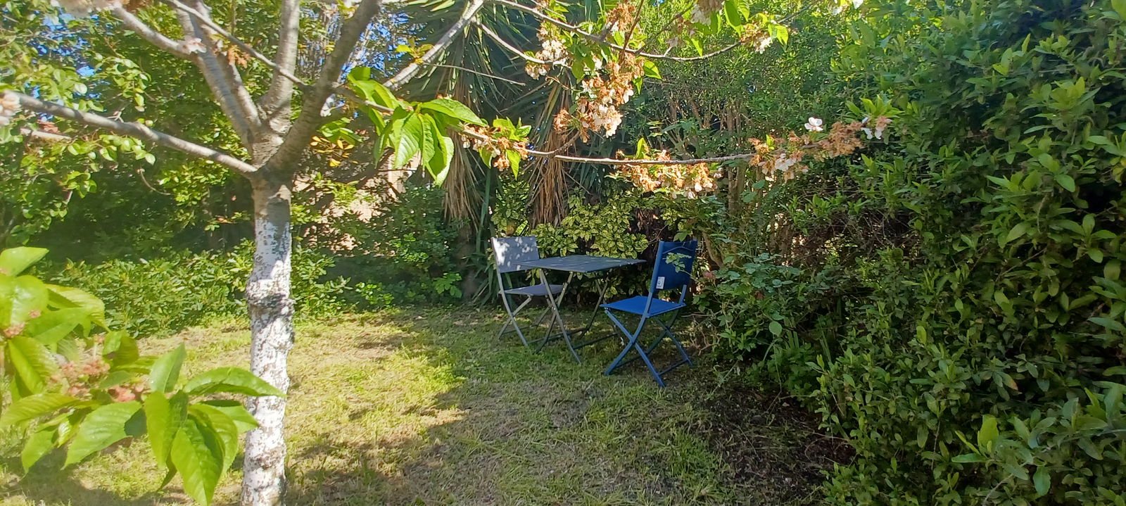 Quedarse En Casa Six-Fours-les-Plages 386639