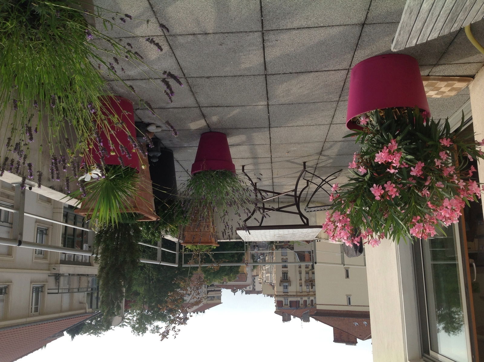 Quedarse En Casa Lyon 89782