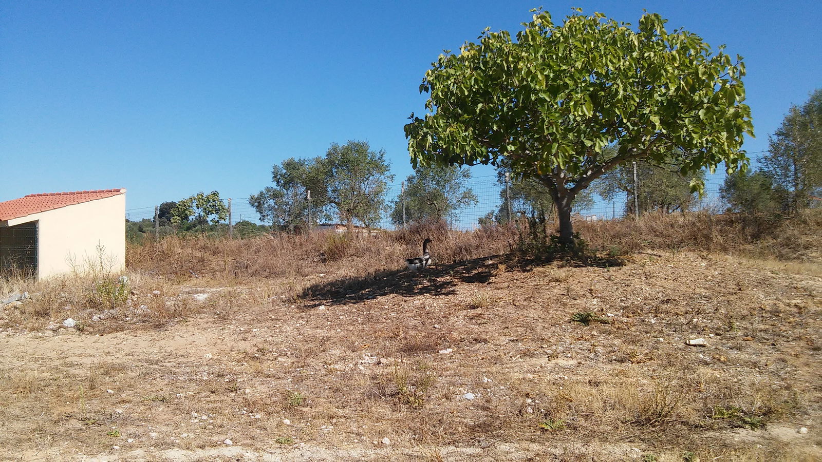 Quedarse En Casa District de Santarém 162241