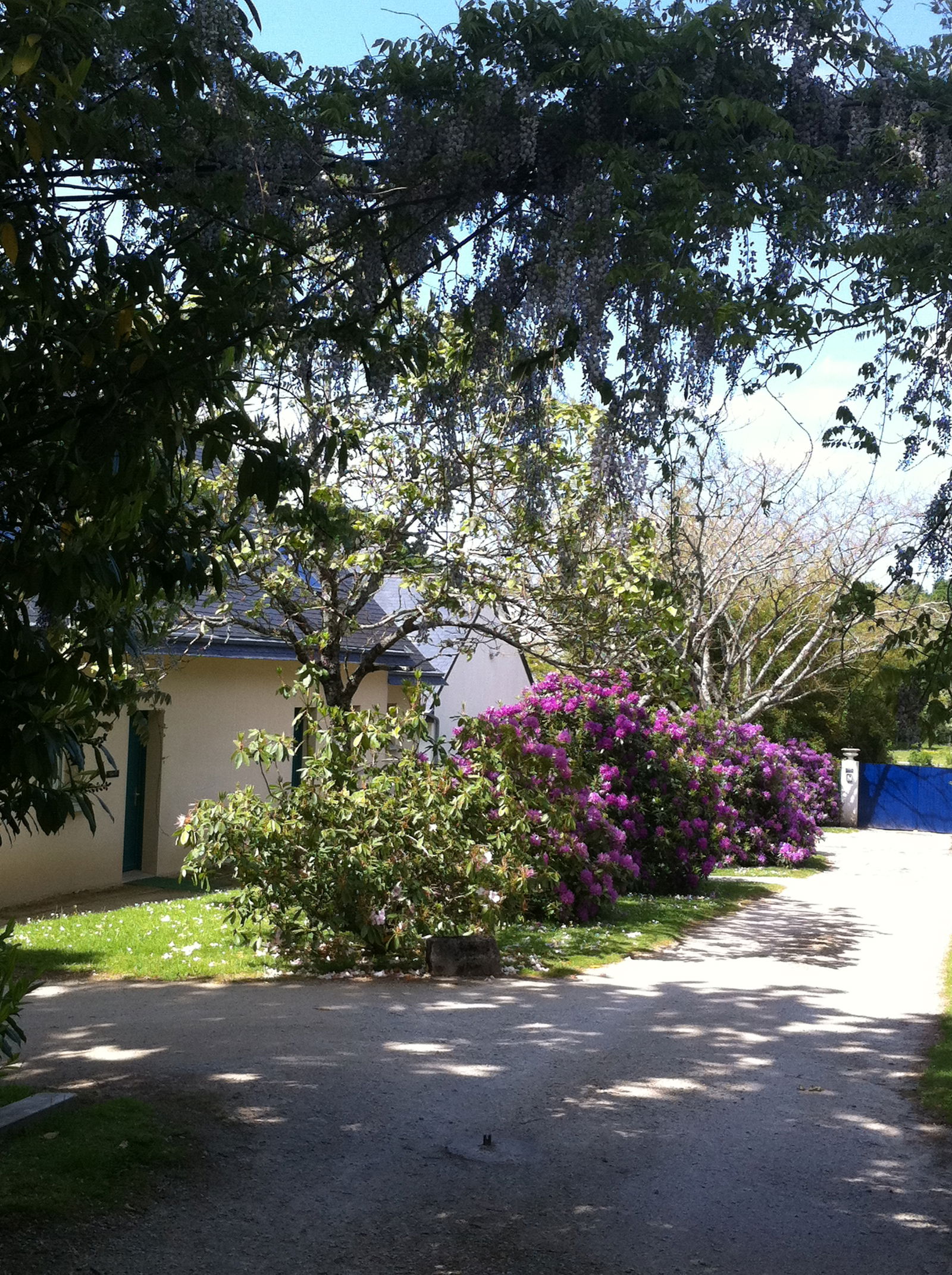 Quedarse En Casa Vannes 496152