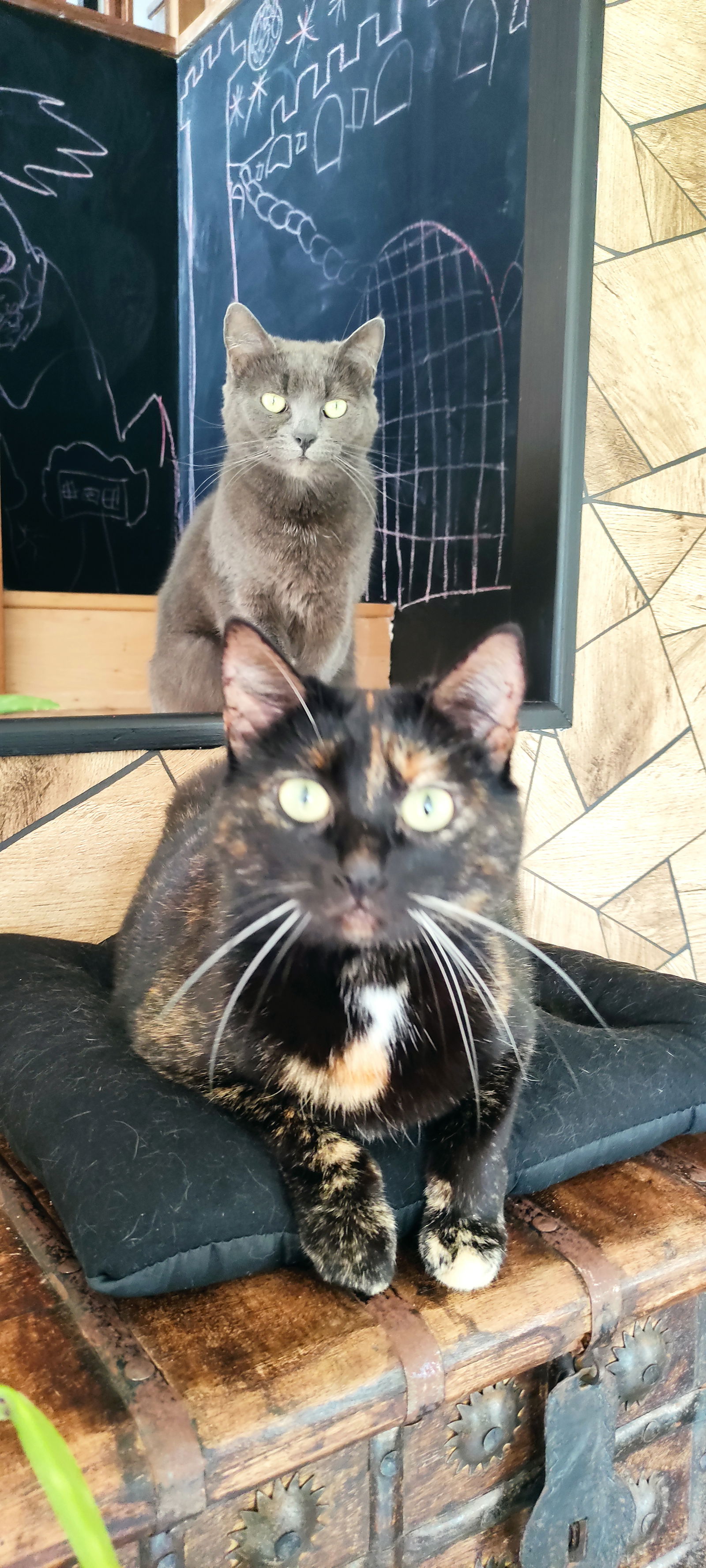 Quedarse En Casa Belbeuf 108668