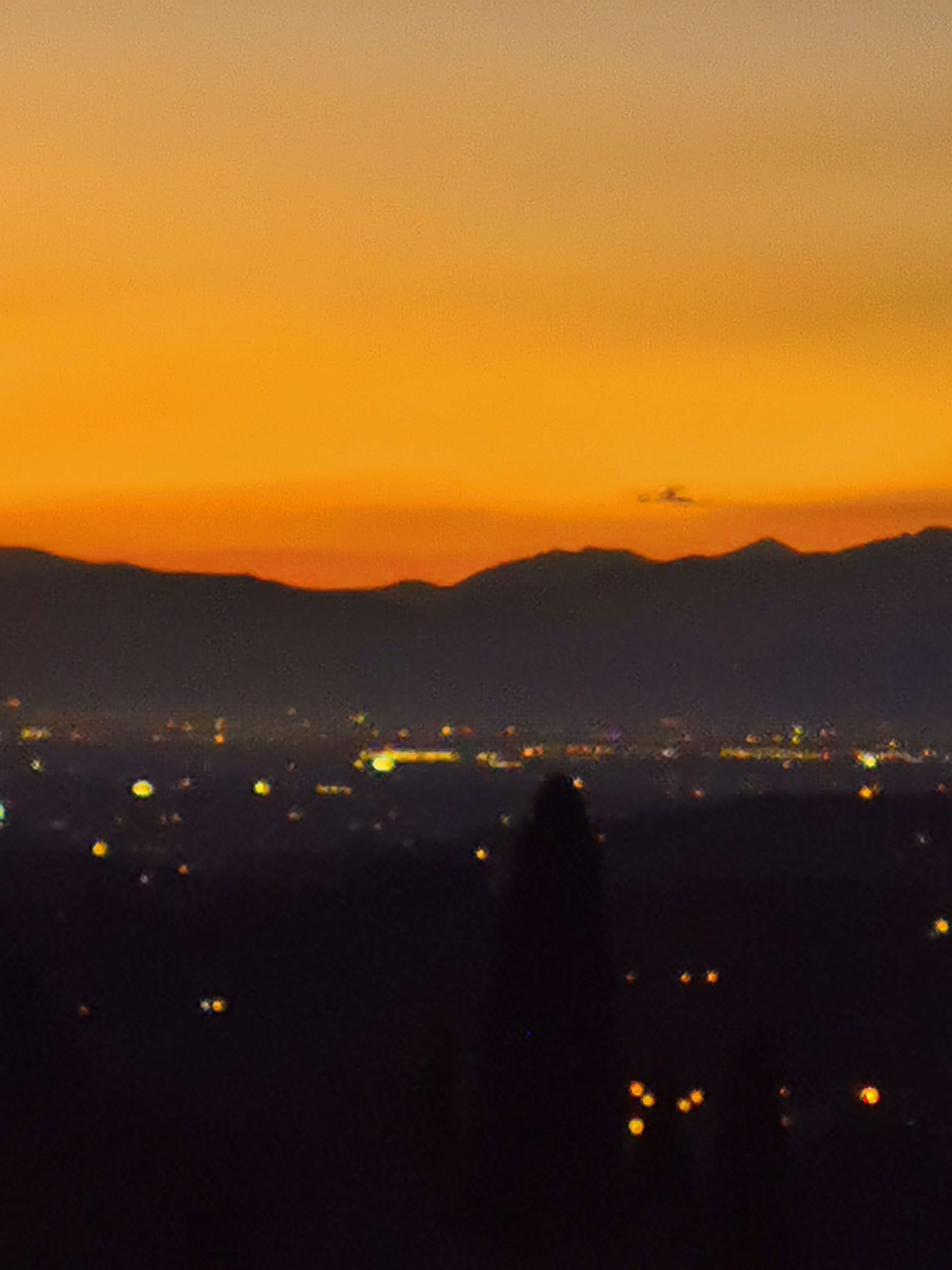 Quedarse En Casa Città Metropolitana di Firenze 265925