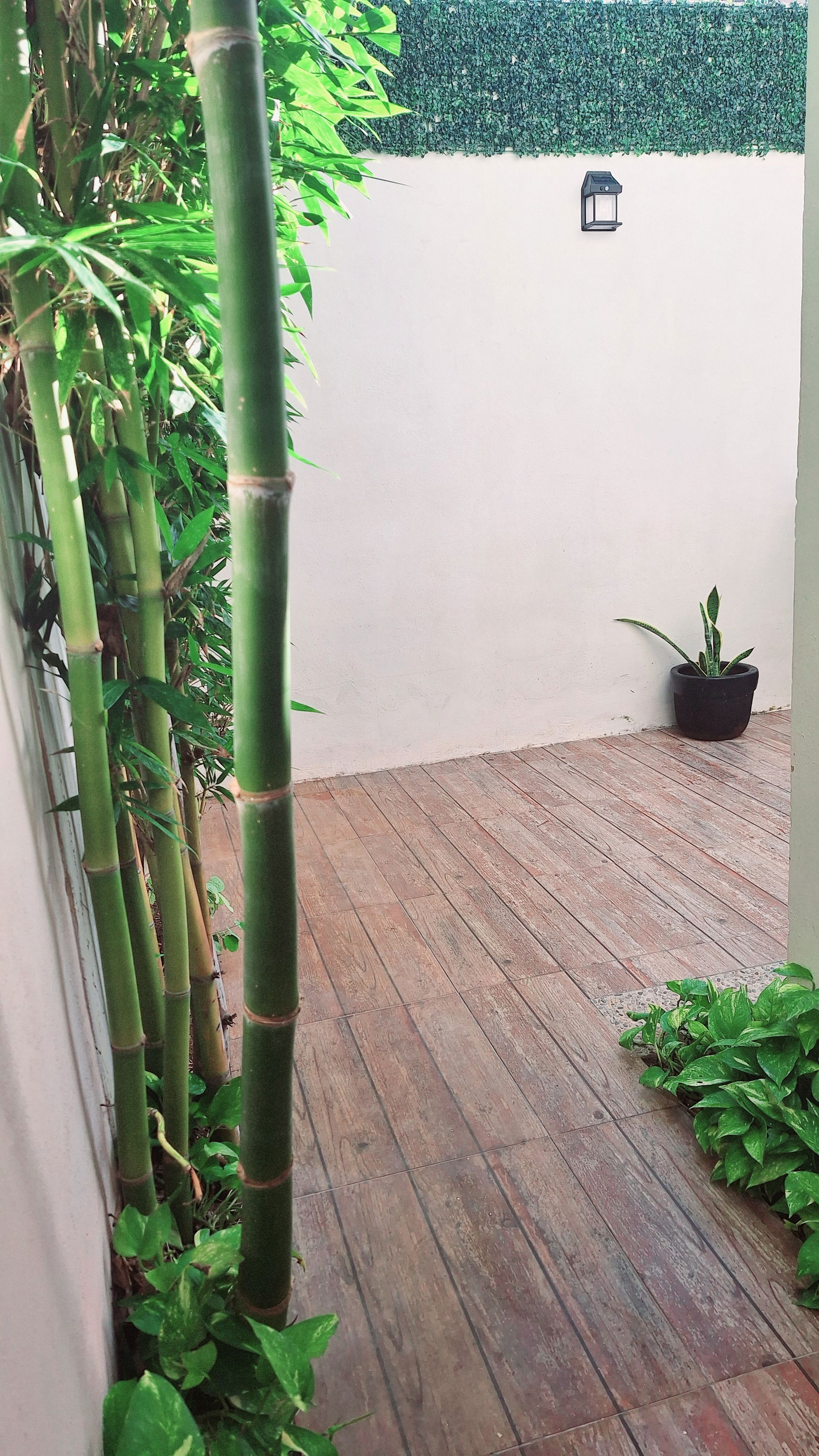 Toda La Casa Cancún 530678