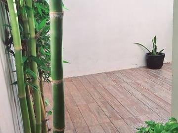 Logement Entier Cancún 530678-8