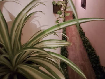 Logement Entier Cancún 530678-9