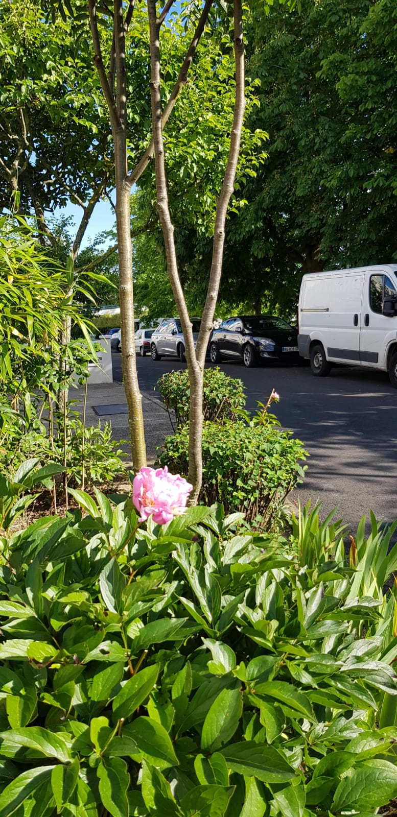 Colocación Pontoise 484537