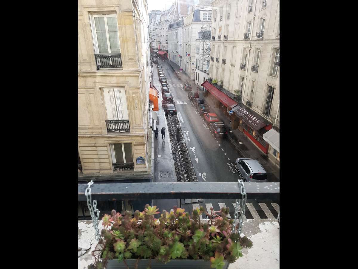Quedarse En Casa Paris 11199