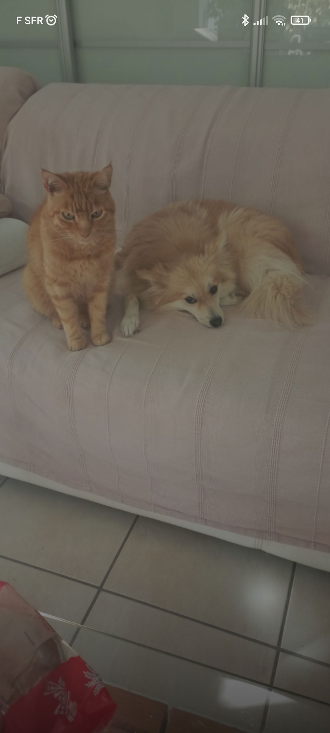 Quedarse En Casa Rousset 273799