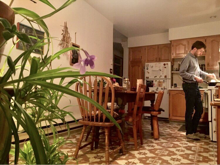 Quedarse En Casa Montréal 254869