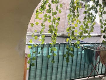 Chambre Chez L'habitant Barcelona 112478-13