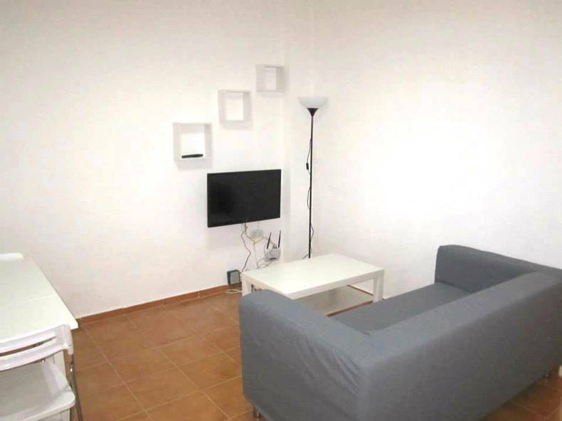 Kolokasie Valencia 104994-4