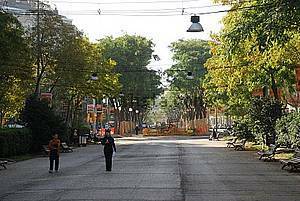 Quedarse En Casa Barcelona 245398