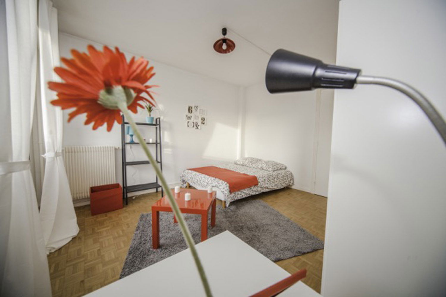 Colocación Strasbourg 264617
