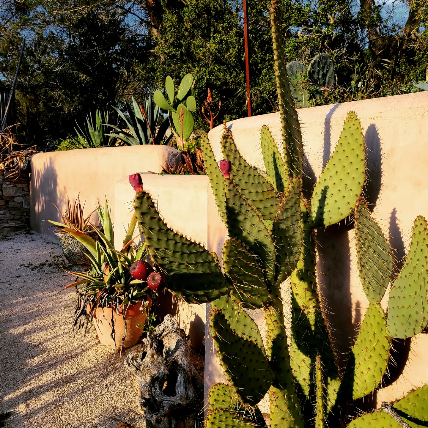 Colocación Nîmes 624424