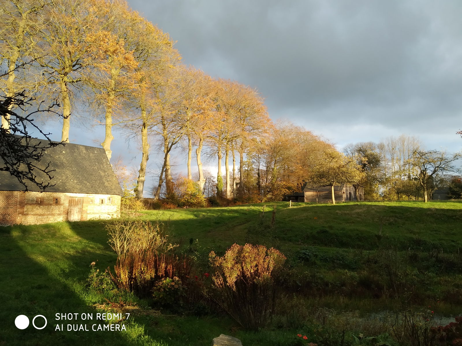 Quedarse En Casa Routes 246115