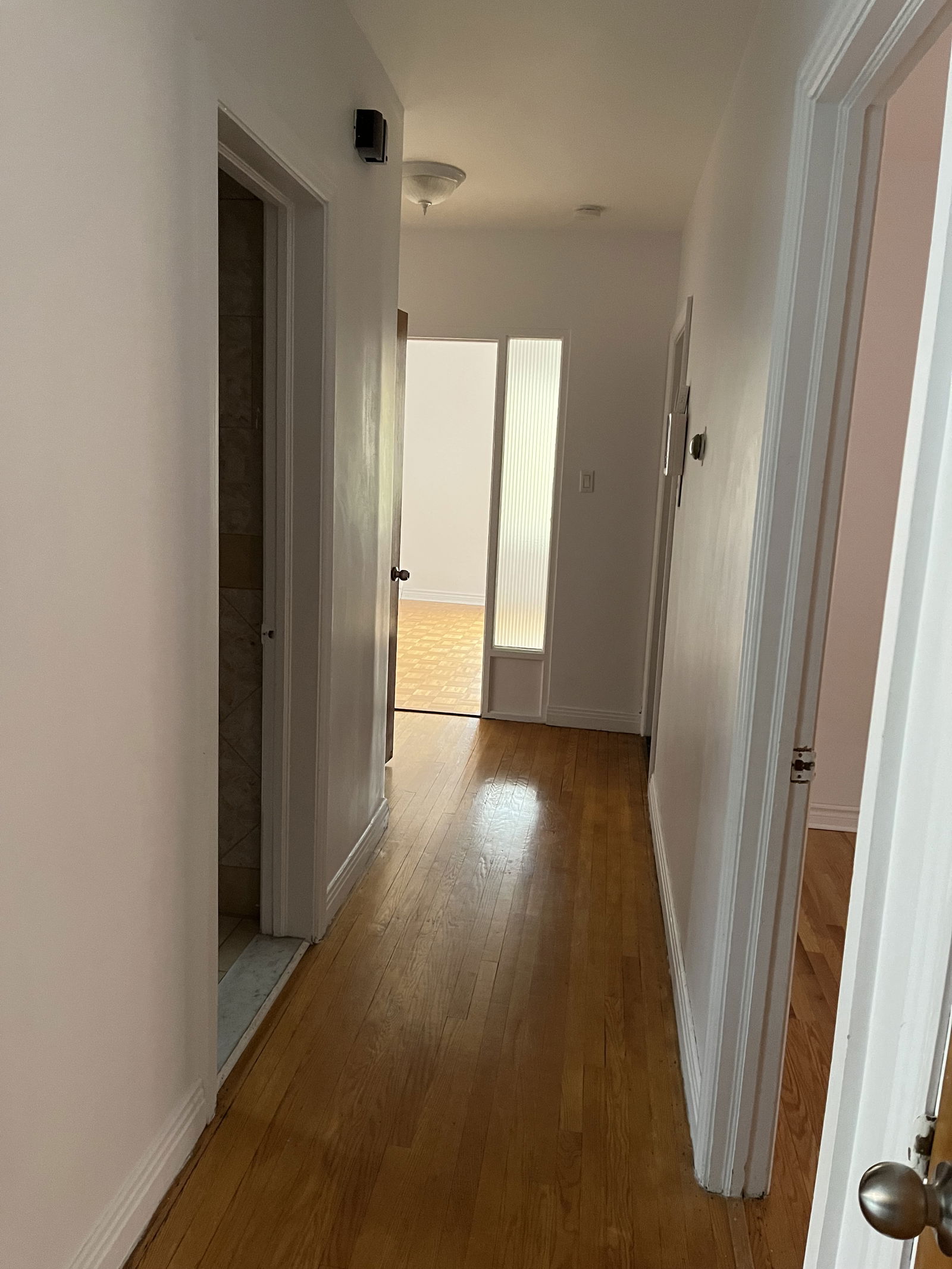 Colocación Montréal 462231