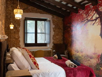 Coliving à louer à Cunit - photo 36-36
