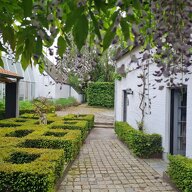 Piso Compartido Beveren-Kruibeke-Zwijndrecht 672899