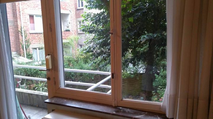 Colocación Ixelles 172677