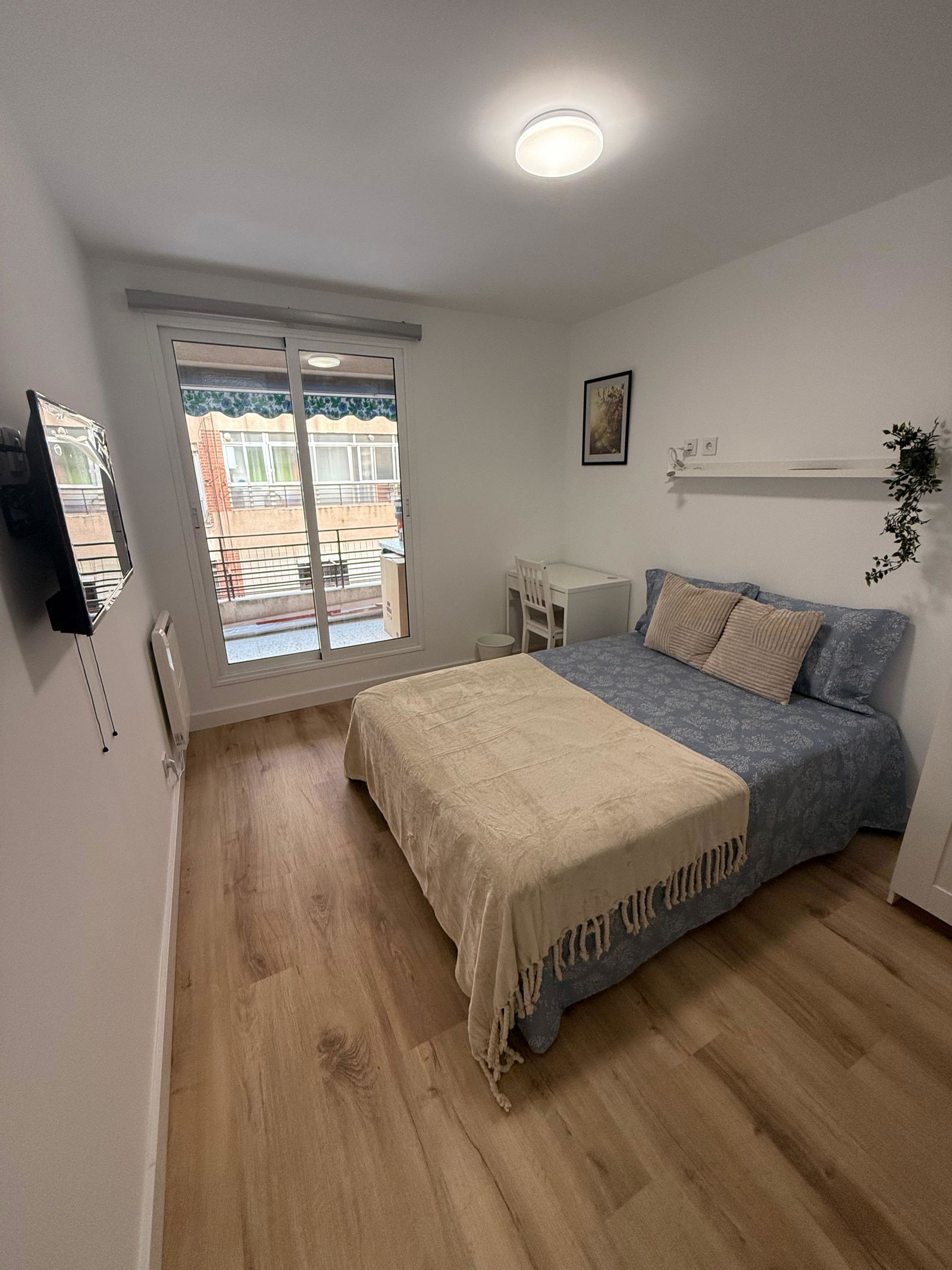 Colocación Alacant 588531