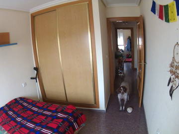 Room For Rent Alicante 151474