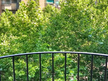 Chambre Chez L'habitant Madrid 177671-6