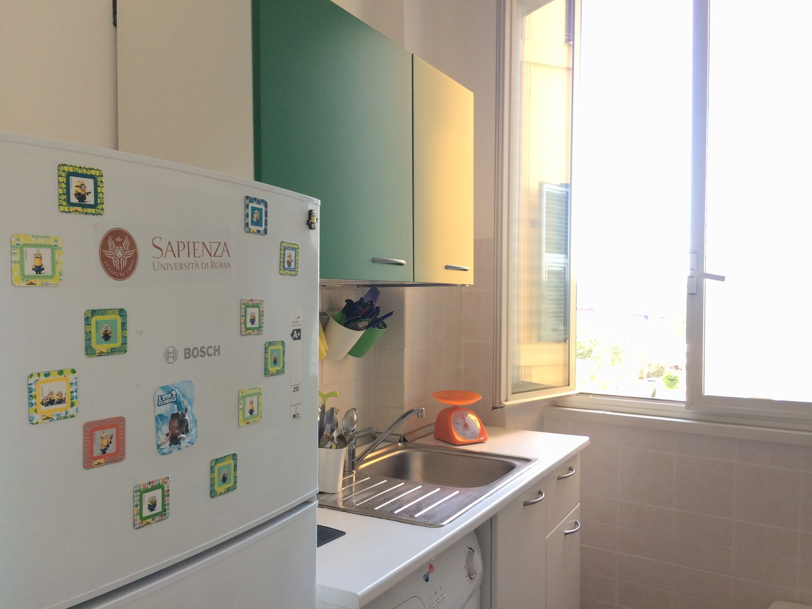Colocación Roma 228817