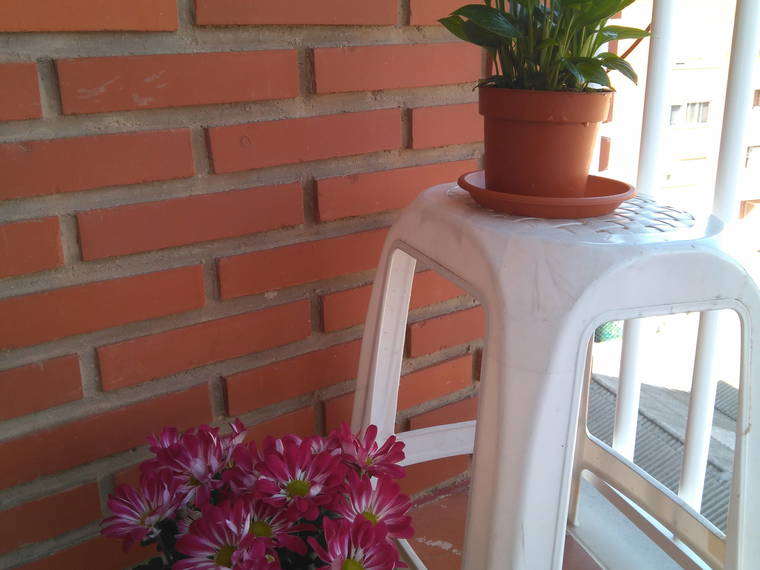 Homestay València 225107