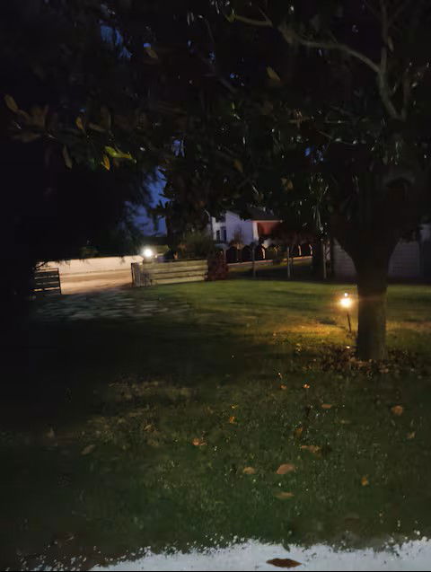 Quedarse En Casa Berra 591492