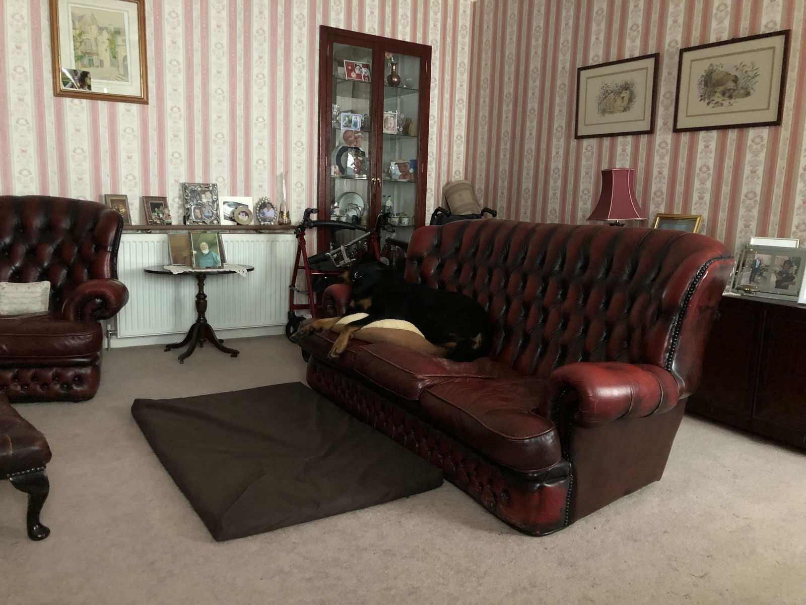 Quedarse En Casa Elgin 257737