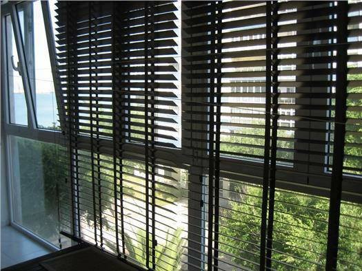 Colocation Cádiz 100803-5