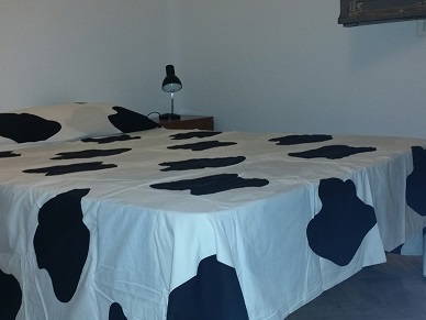 Colocation Madrid 108787-1