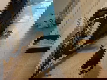 Chambre Chez L'habitant Barcelona 661773-15