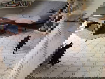 Chambre Chez L'habitant Barcelona 661773-18