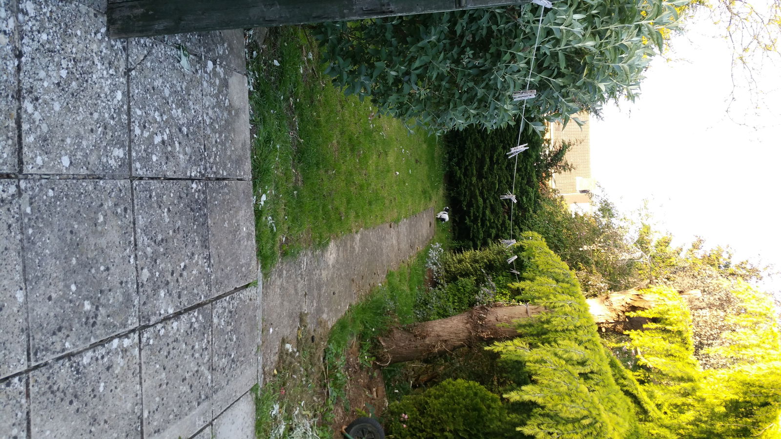 Quedarse En Casa Kidlington 132399