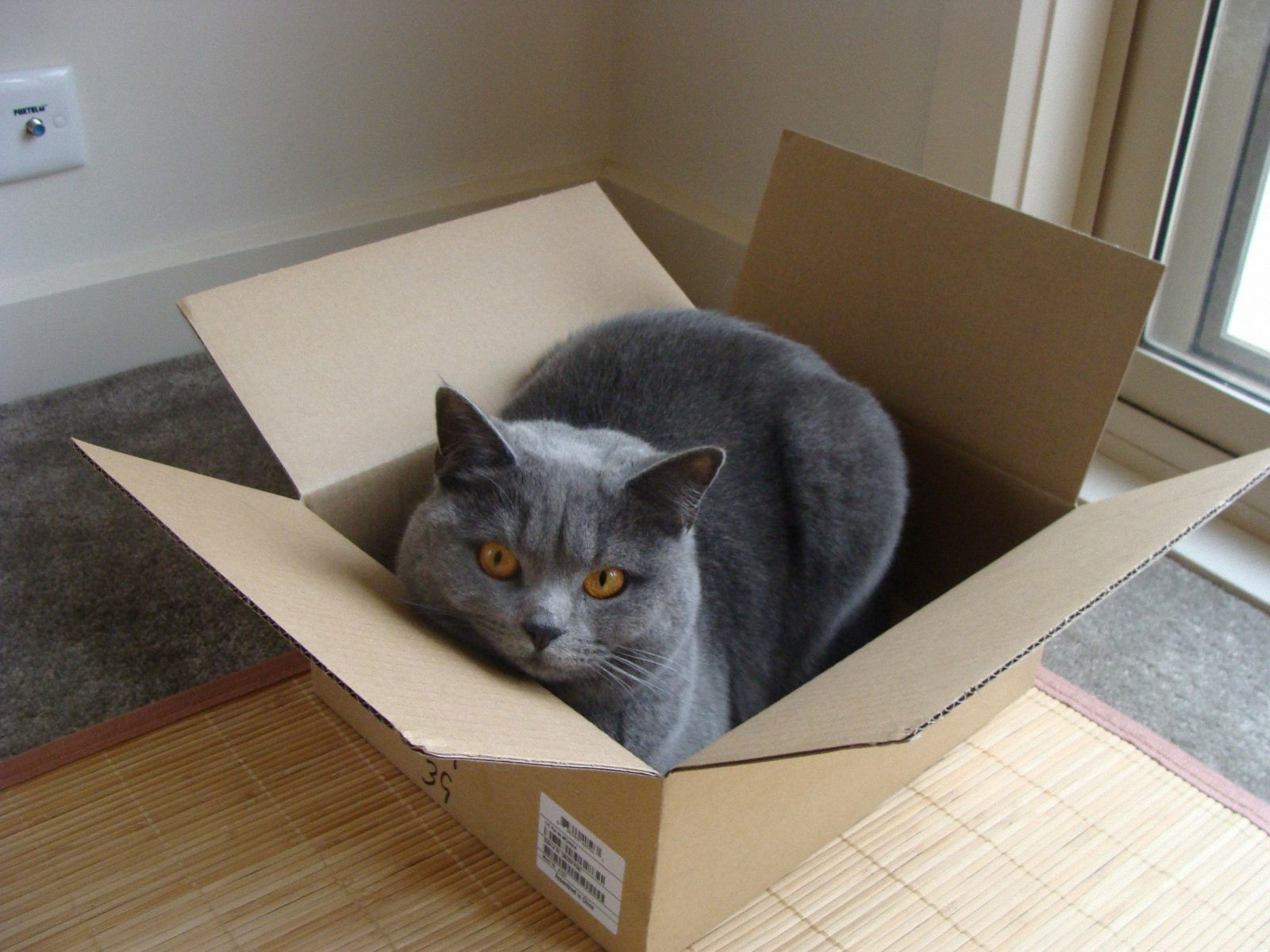 Quedarse En Casa Uccle 73017