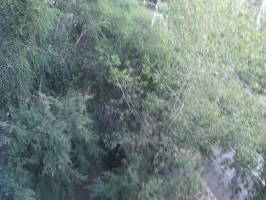 Chambre Chez L'habitant Barcelona 106784-8