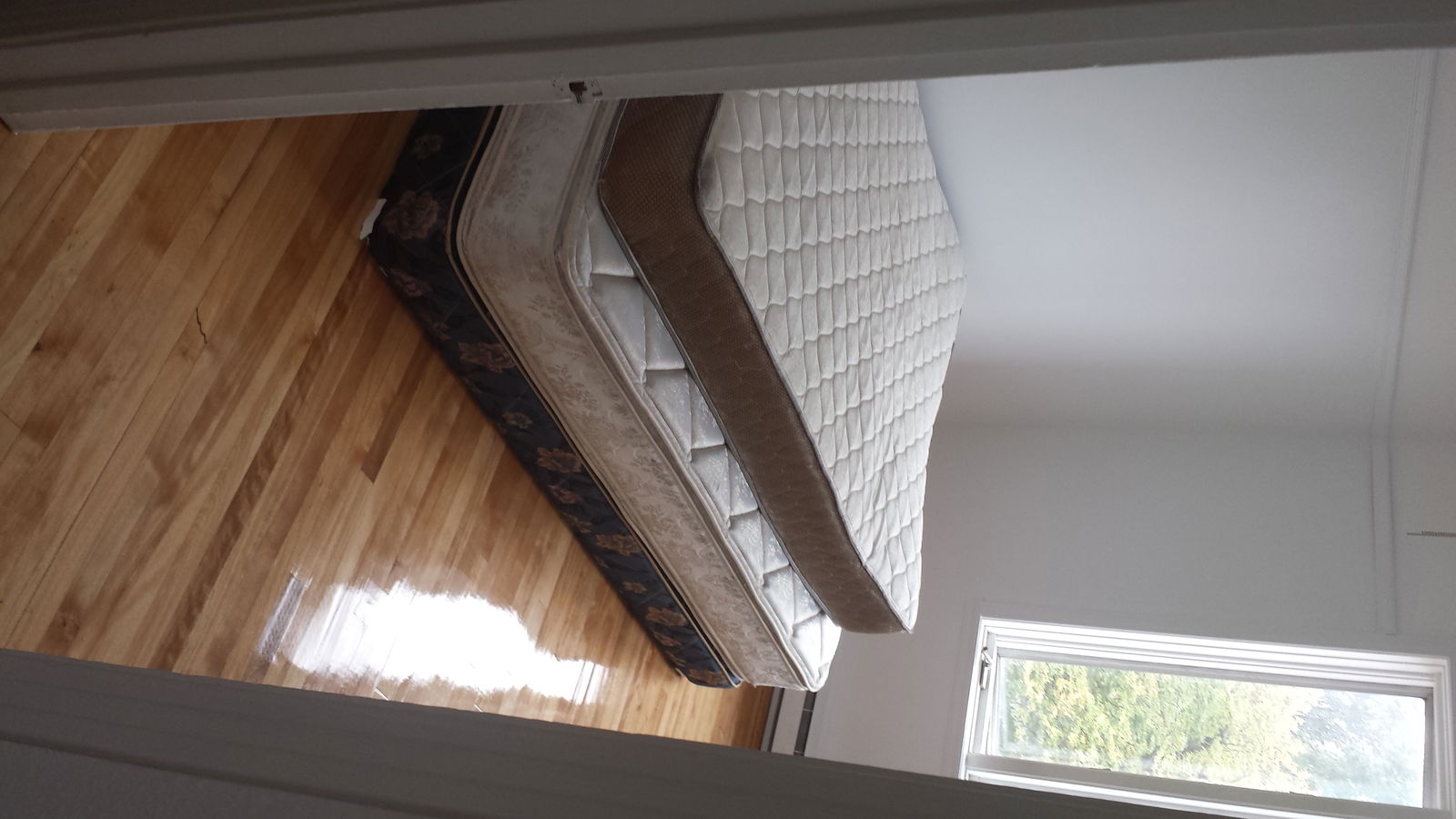 Colocación Montréal 113501