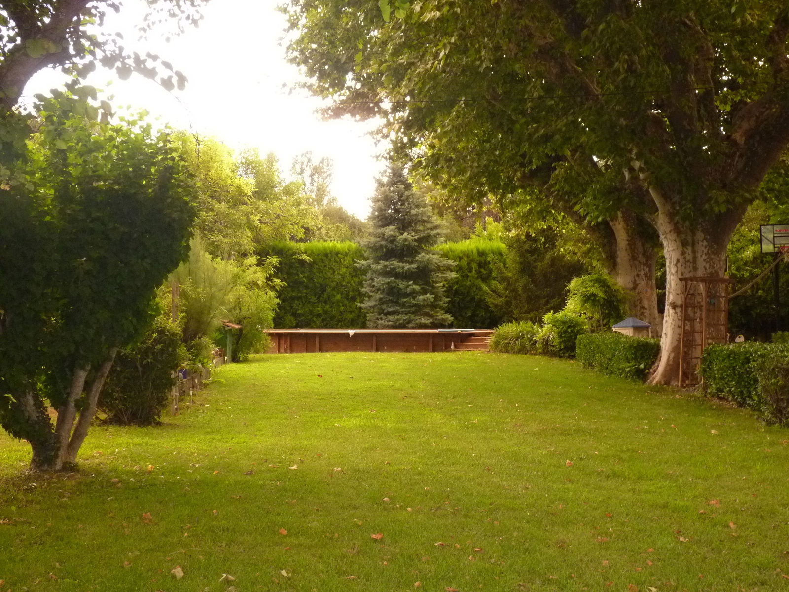 Quedarse En Casa Avignon 128130