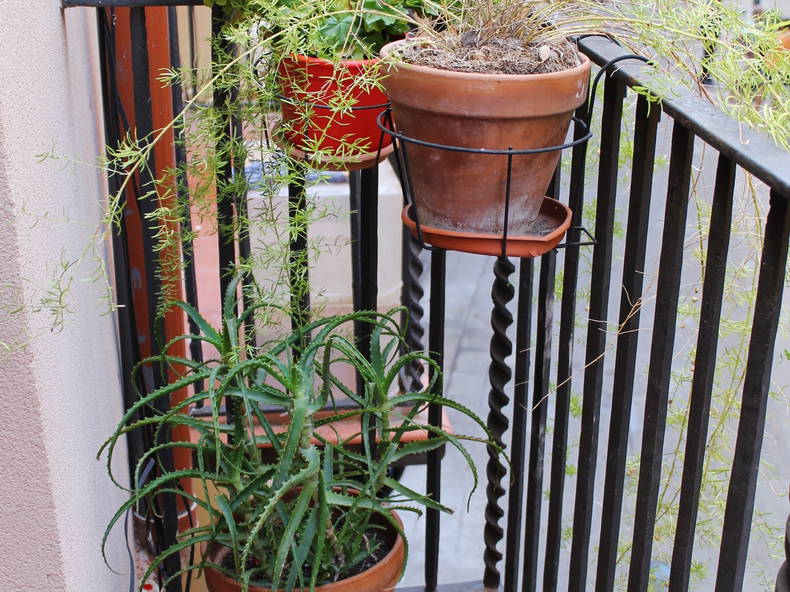 Gastfamilie Barcelona 157065-2