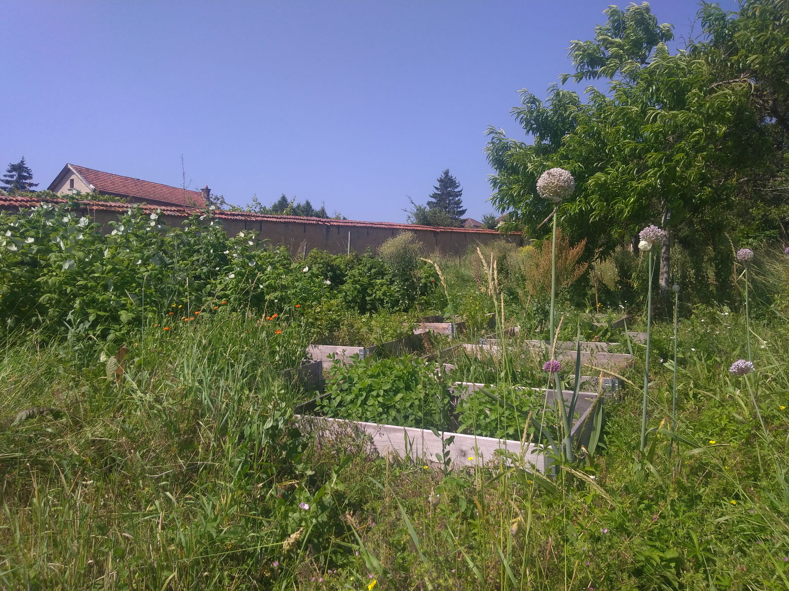 Quedarse En Casa Mandres-sur-Vair 200486
