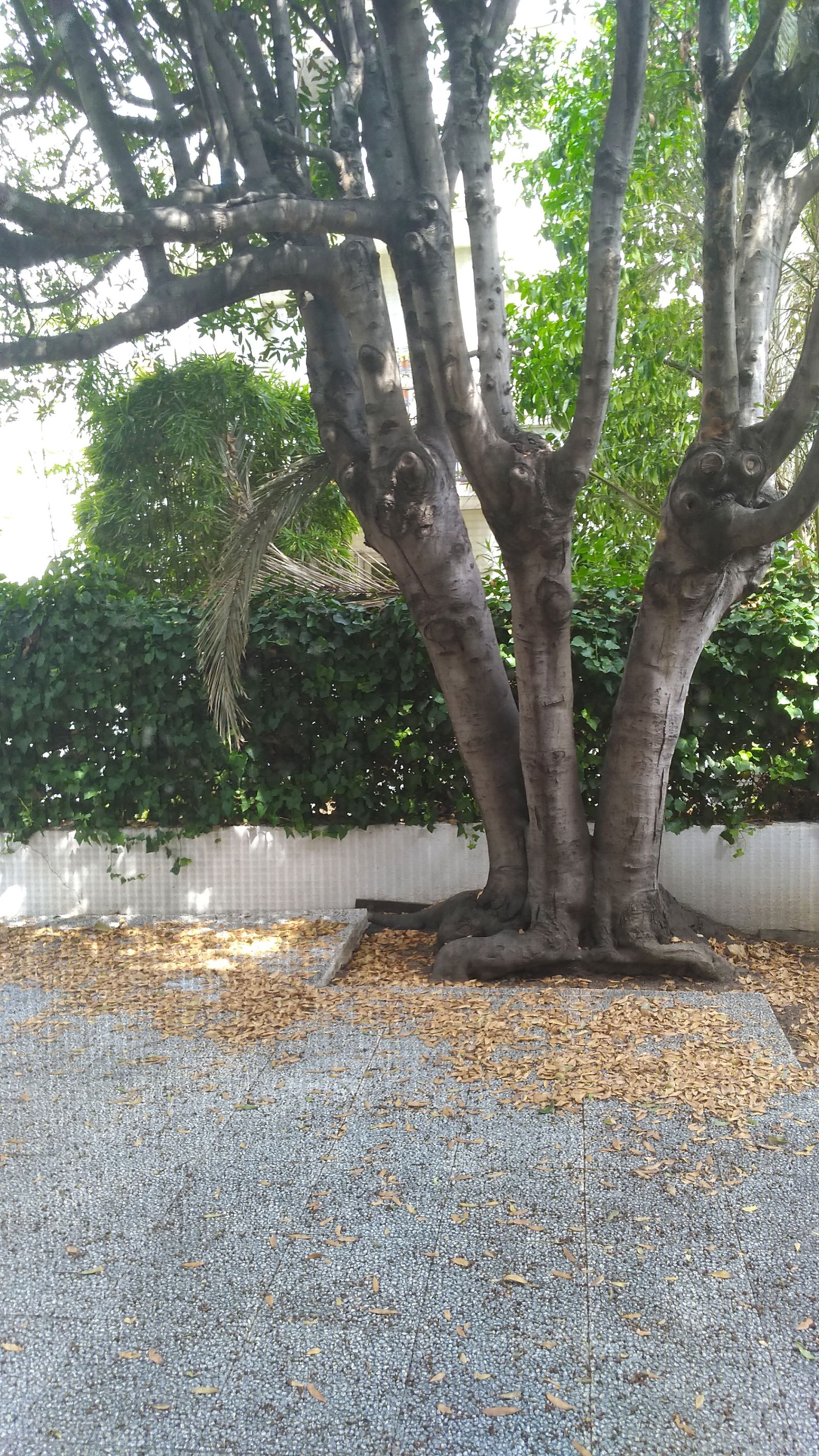 Quedarse En Casa Perpignan 211130
