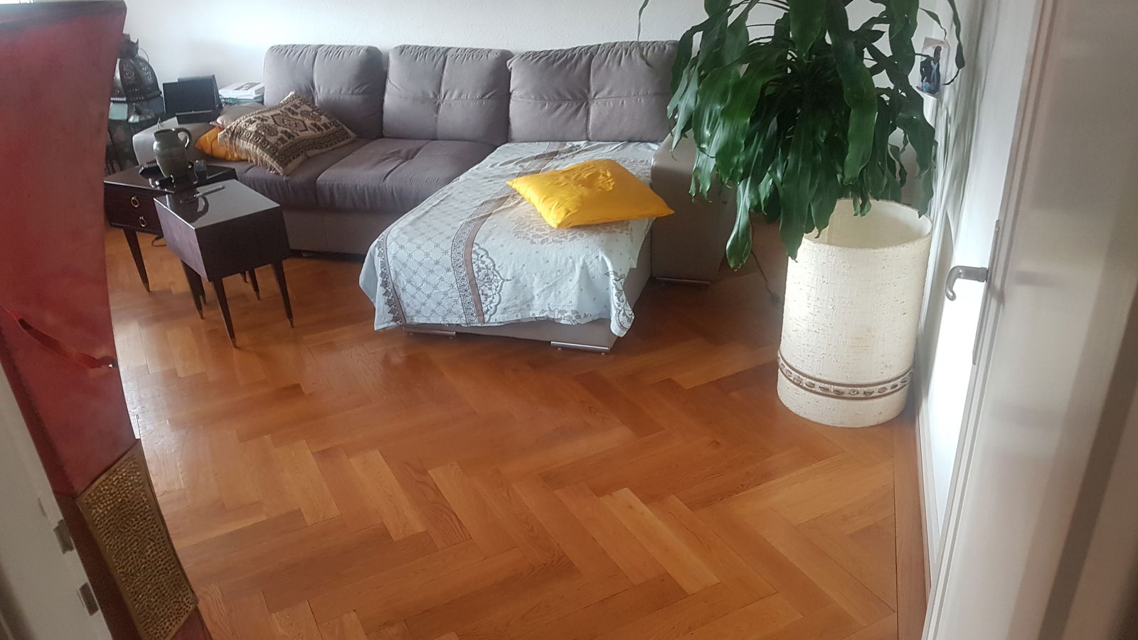 Colocación Carouge 248248