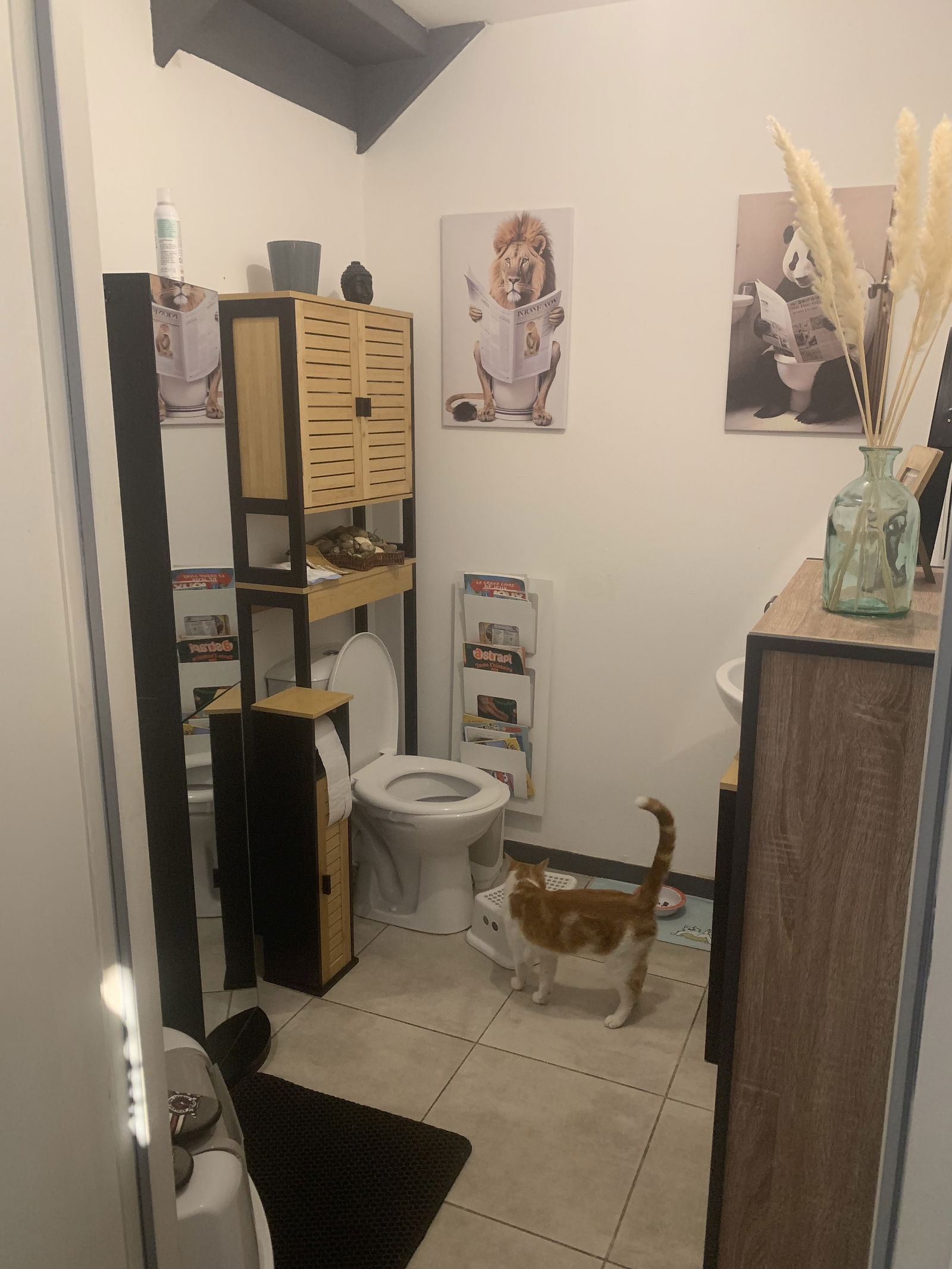 Quedarse En Casa Plaisance-du-Touch 256029