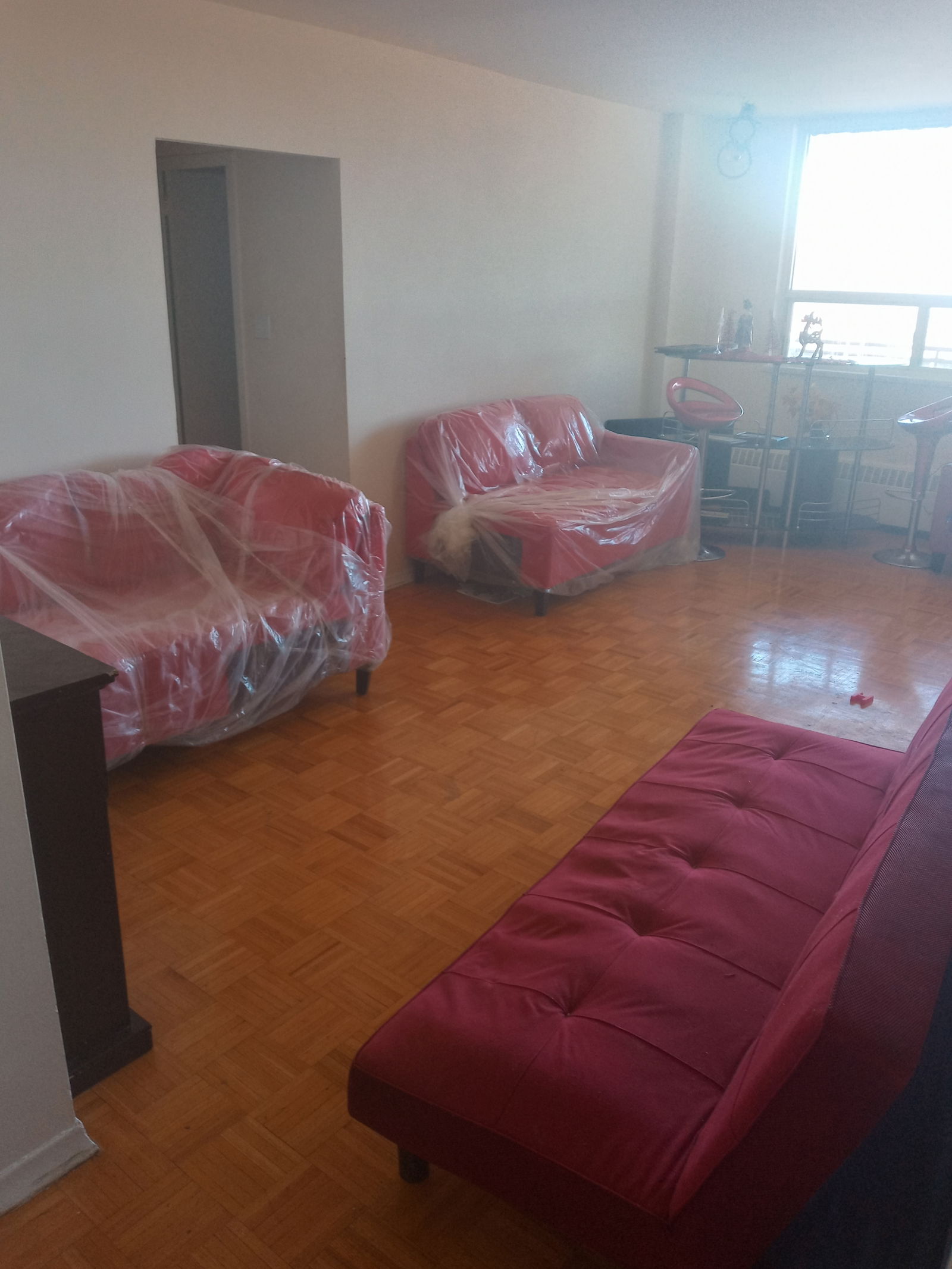 Quedarse En Casa Toronto 257489